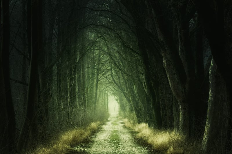 Enchanting Curses